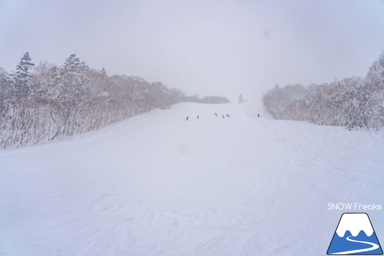 キロロリゾート｜ただいま北海道内最深の積雪160cm。午後のゲレンデで快適粉雪クルージング！